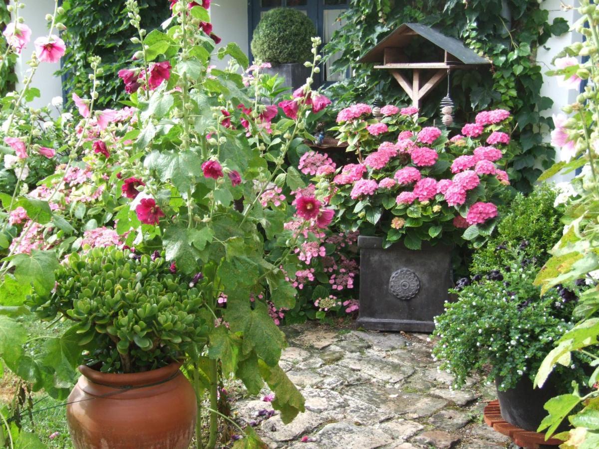 Les Glycines Bed & Breakfast Ury Exterior photo