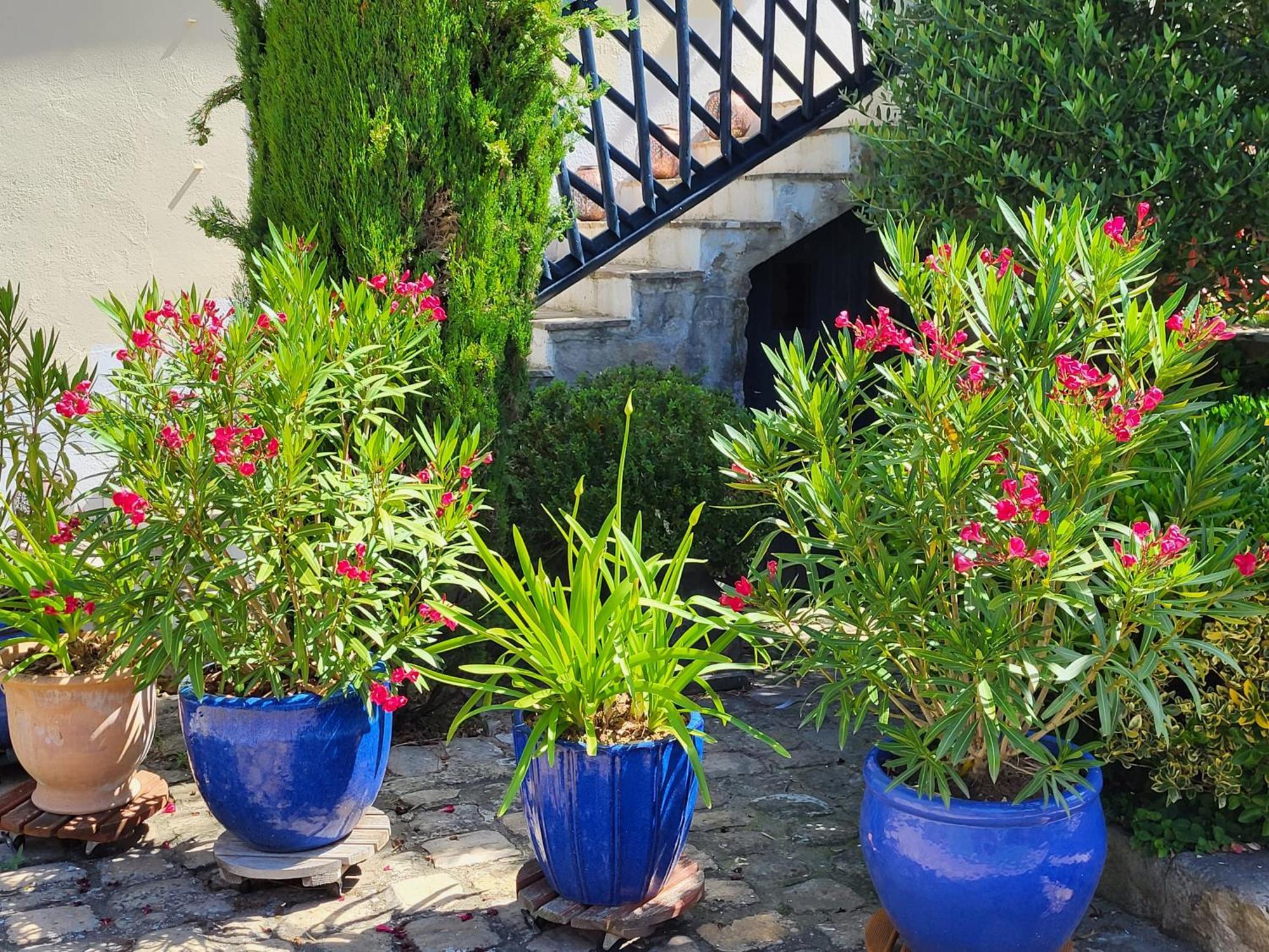 Les Glycines Bed & Breakfast Ury Exterior photo