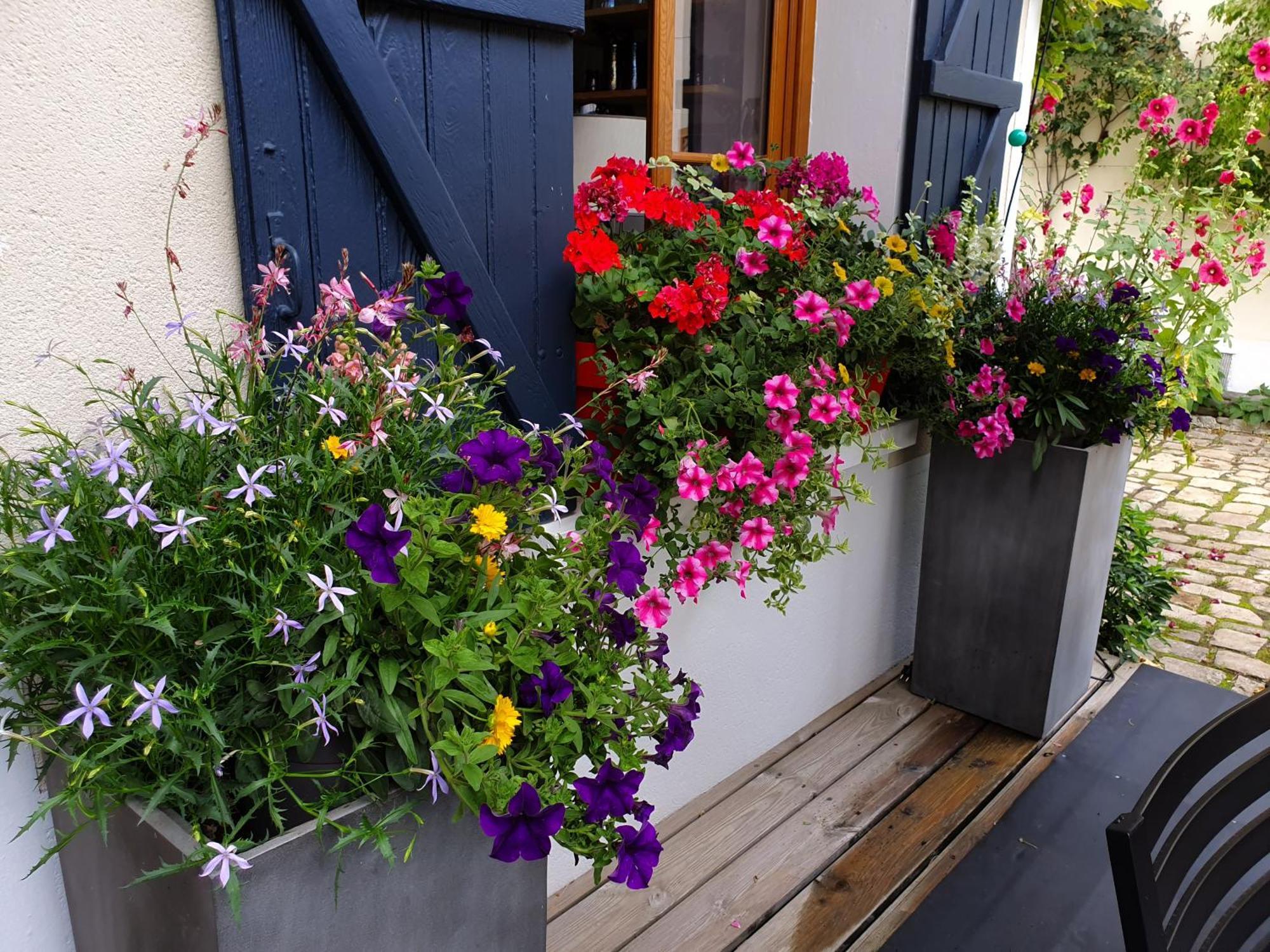 Les Glycines Bed & Breakfast Ury Exterior photo
